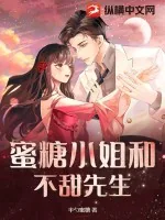《蜜糖小姐和不甜先生》小说封面
