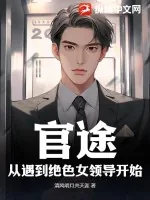 《官途：从遇到绝色女领导开始》小说封面