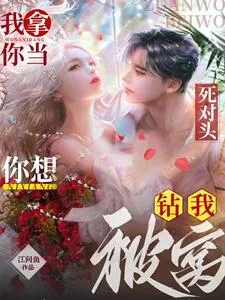 《我拿你当死对头,你想钻我被窝?》小说封面