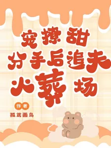《宠！撩！甜！分手后追夫火葬场》小说封面