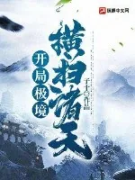 《开局极境横扫诸天》小说封面