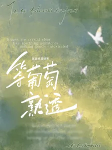 《等葡萄熟透》小说封面