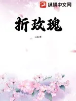 《折玫瑰》小说封面