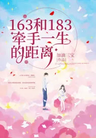 《163和183牵手一生的距离》小说封面