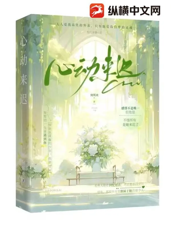 《心动来迟》小说封面