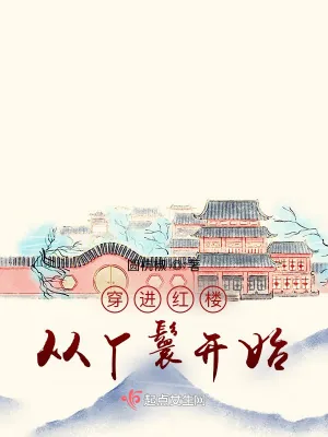 《穿进红楼从丫鬟开始》小说封面