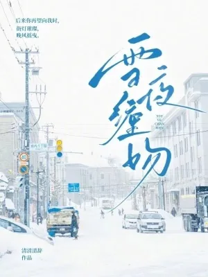 《雪夜缠吻》小说封面