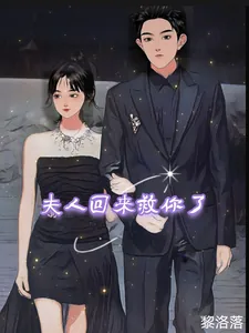 《夫人回来救你了》小说封面