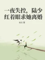 《一夜失控，陆少红着眼求她离婚》小说封面
