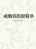 《戒烟真的很简单》小说封面