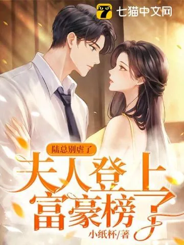 《陆总别虐了，夫人登上富豪榜了》小说封面