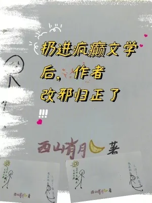《扔进疯癫文学后,作者改邪归正了》小说封面