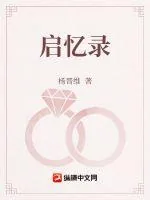 《启忆录》小说封面