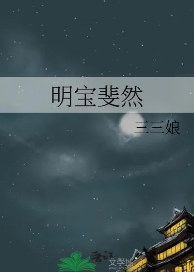 《明宝斐然》小说封面