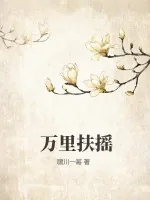 《万里扶摇》小说封面