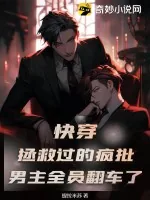 《快穿：拯救过的疯批男主全员翻车了》小说封面