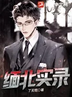 《缅北实录》小说封面