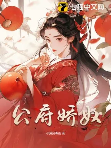 《公府娇奴》小说封面