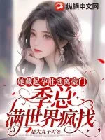 《她藏起孕肚逃离豪门，季总满世界疯找》小说封面