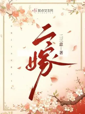 《二嫁》小说封面