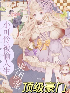 《小可怜被偷人生,顶级豪门来团宠》小说封面