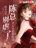 《陈总别虐了，夫人只爱你的钱》小说封面