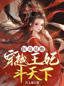 《医毒双绝：穿越王妃斗天下》小说封面