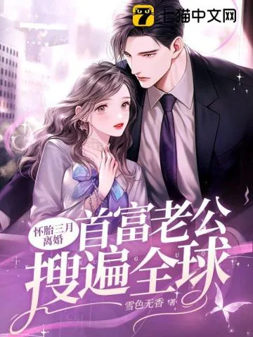 《怀胎三月离婚,首富老公搜遍全球》小说封面