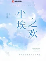 《尘埃之欢》小说封面