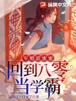 《军婚甜蜜蜜:回到八零当学霸》小说封面