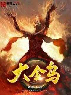《大金乌》小说封面