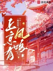《上京有凤鸣》小说封面