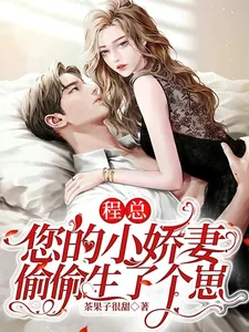 《程总,您的小娇妻偷偷生了个崽》小说封面