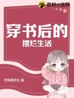 《穿书后的摆烂生活》小说封面