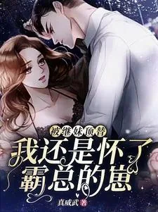 《被继妹顶替，我还是怀了霸总的崽》小说封面