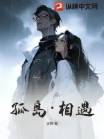 《孤岛·相遇》小说封面