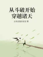 《从斗破开始穿越诸天》小说封面