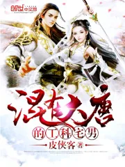《混在大唐的工科宅男》小说封面