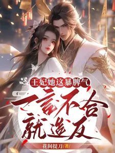 《王妃她这暴脾气,一言不合就造反》小说封面