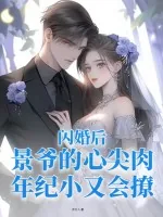 《闪婚后,景爷的心尖肉年纪小又会撩》小说封面