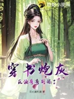 《穿书炮灰，反派哥哥别舔了！》小说封面