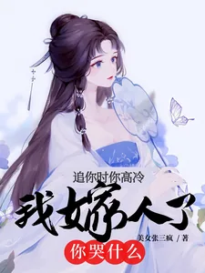 《追你时你高冷,我嫁人了你哭什么》小说封面