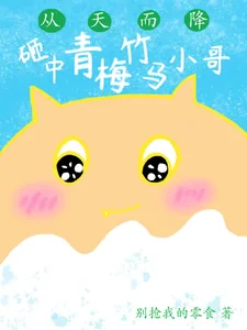 《从天而降,砸中青梅竹马小哥》小说封面