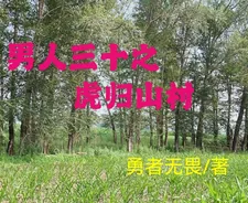 《男人三十之,虎归山村》小说封面