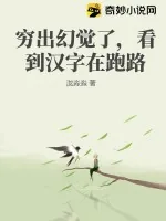 《穷出幻觉了,看到汉字在跑路》小说封面