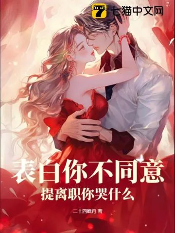 《表白你不同意，提离职你哭什么》小说封面