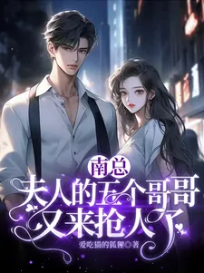 《南总,夫人的五个哥哥又来抢人了》小说封面