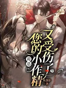 《司总，您的小作精又受伤了》小说封面