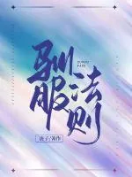 《驯服法则》小说封面