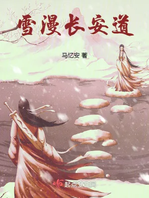 《雪漫长安道》小说封面